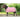 Cooler/sweat sheet Henni for Shetlands