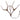 Horka 5-Point Vehicle Elastic