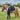 SWING Back Protector P06 Flexible, Children
