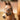 Foal halter