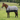 MHS Regendeken Safari met fleece
