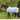 Waldhausen rain fly sheet Protect