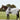Waldhausen Fly Sheet with Fringe Protect