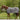 Waldhausen fly sheet with belly flap Comfort