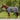 Waldhausen rain fly sheet Comfort
