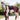 Waldhausen fly repellent turnout rug Rome
