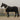 horka FLEECE BLANKET EQUESTRIAN PRO