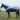 Flying blanket Rain with neck piece & belly bib